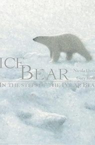 Ice Bear - Nicola Davies